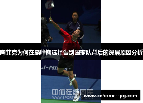 陶菲克为何在巅峰期选择告别国家队背后的深层原因分析