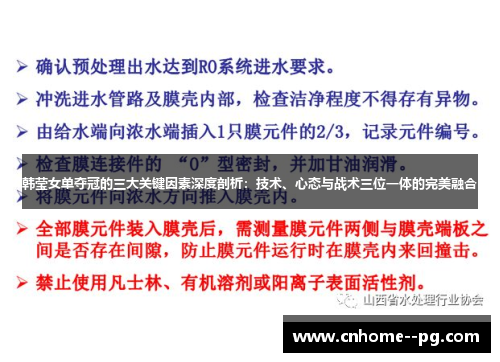 韩莹女单夺冠的三大关键因素深度剖析：技术、心态与战术三位一体的完美融合