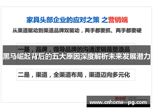 黑马崛起背后的五大原因深度解析未来发展潜力 黑马崛起背后的五大原因深度解析未来发展潜力