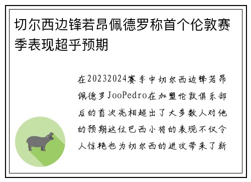 切尔西边锋若昂佩德罗称首个伦敦赛季表现超乎预期 切尔西边锋若昂佩德罗称首个伦敦赛季表现超乎预期